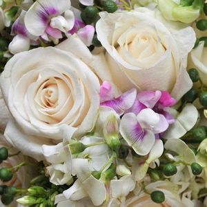 Meet your Posher, Ellen